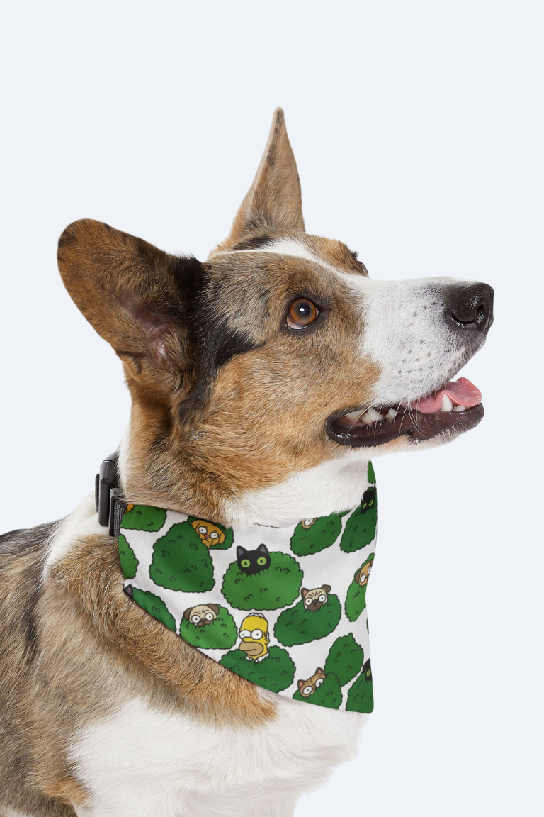 Bush Peek-A-Boo Pet Bandana